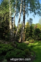 wbgarden spring 51